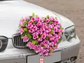 Jak udekorować auto ślubne? Poradnik, trendy i koszty