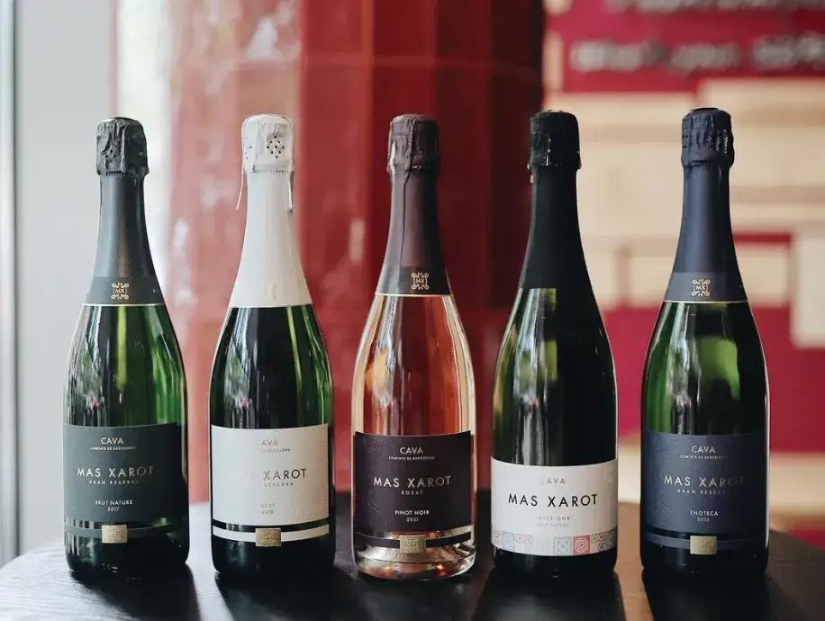 różne rodzaje win musujących prosecco cava szampan